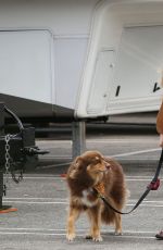 AMANDA SEYFRIE and Her Dog Finn Out and About in Los Angeles 3010