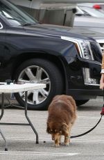 AMANDA SEYFRIE and Her Dog Finn Out and About in Los Angeles 3010