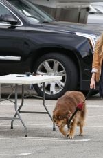 AMANDA SEYFRIE and Her Dog Finn Out and About in Los Angeles 3010
