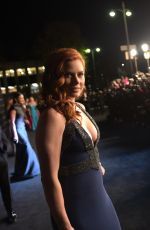 AMY ADAMS at 2014 Lacma Art + Film Gala in Los Angeles