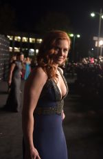 AMY ADAMS at 2014 Lacma Art + Film Gala in Los Angeles