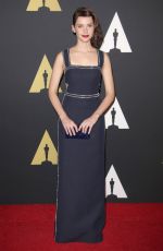 FELICITY JONES at AMPAS 2014 Governor’s Awards in Hollywood 