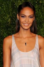 JOAN SMALLS at 2014 Cfda/Vogue Fashion Fund Awards in New York