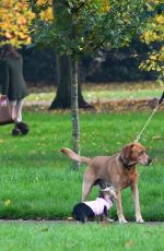 KIMBERLEY GARNE Walks Her Dog Out in Kensington Park