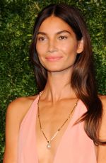 LILY ALDRIDGE at 2014 Cfda/Vogue Fashion Fund Awards in New York