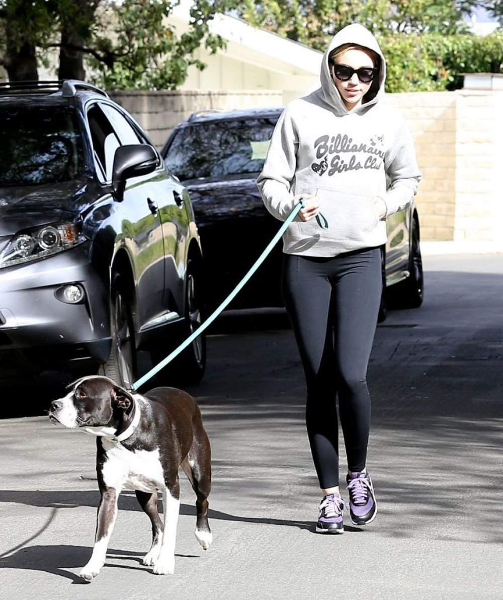 MILEY CYRUS Walks Her Dog Out in Los Angeles – HawtCelebs