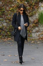 NIKKI REED Out Shopping in Los Angeles 1311