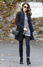 NIKKI REED Out Shopping in Los Angeles 1311