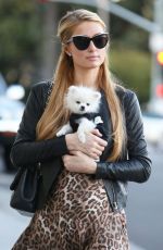 PARIS HILTON Out Shopping in Beverly Hills 0311