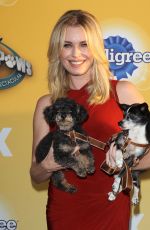REBECCA ROMIJN at Fox’s Cause for Pawns an All-Star Dog Event in Santa Monica