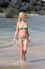 TARA REID in Bikini on the Beach in Hawaii