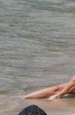TARA REID in Bikini on the Beach in Hawaii