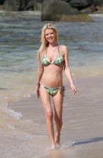 TARA REID in Bikini on the Beach in Hawaii