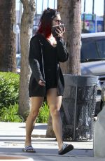 VANESSA HUDGENS Out Shopping in Los Angeles 1711