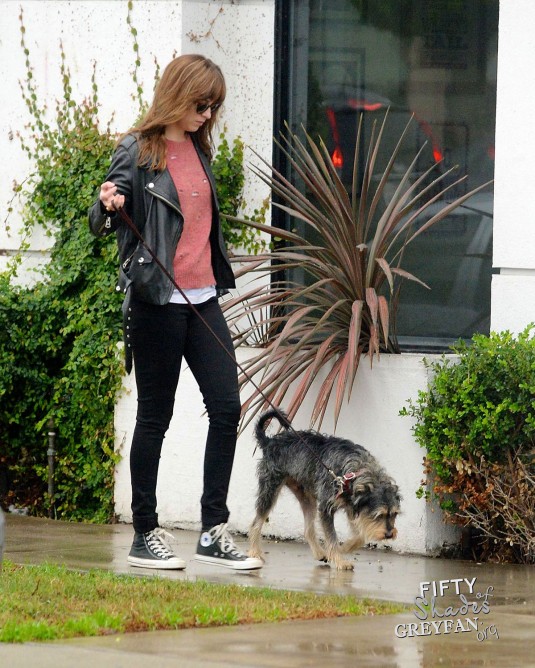 DAKOTA JOHNSON Out with Her Dog
