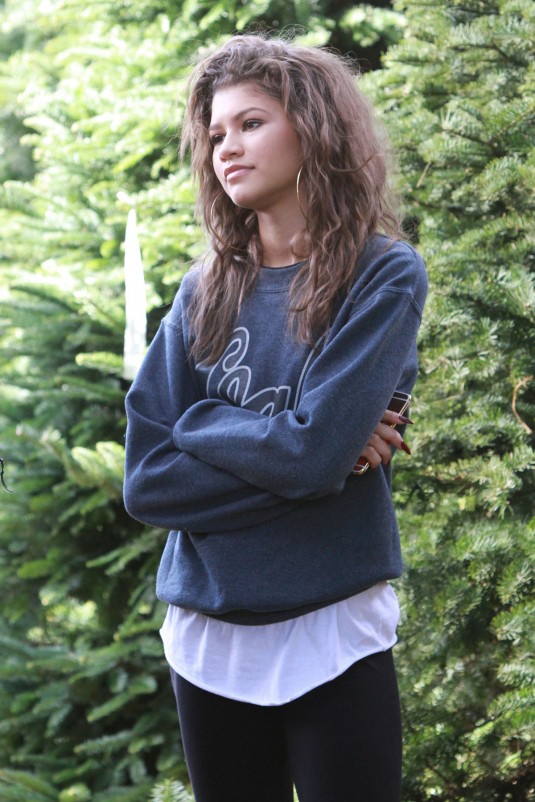 ZENDAYA COLEMAN Shopping for Christmas Tree