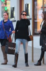 ALESSANDRA AMBROSIO Out Shopping in West Hollywood