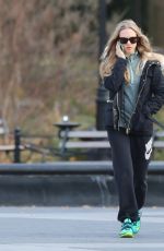 AMANDA SEYFRIED and Finn Out and About in New York 0412