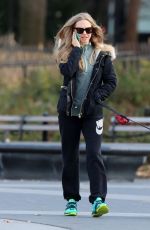 AMANDA SEYFRIED and Finn Out and About in New York 0412