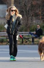 AMANDA SEYFRIED and Finn Out and About in New York 0412