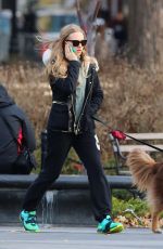AMANDA SEYFRIED and Finn Out and About in New York 0412