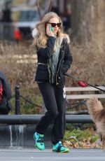 AMANDA SEYFRIED and Finn Out and About in New York 0412