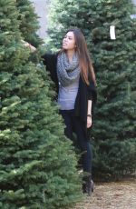 ASHLEY ARGOTA Out Sshopping for a Christmas Tree in Los Angles