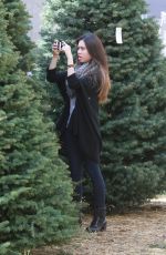 ASHLEY ARGOTA Out Sshopping for a Christmas Tree in Los Angles