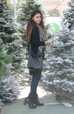 ASHLEY ARGOTA Out Sshopping for a Christmas Tree in Los Angles