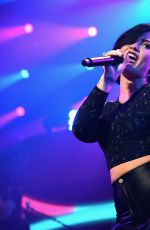 DEMI LOVATO at Hot 99.5 Jingle Ball 2014 in Washington