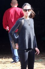 JORDANA BREWSTER Out and About in West Hollywood 0712