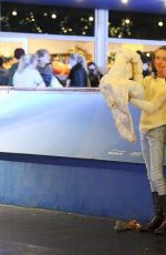 KIMBERLY GARNER Ice Skating at Natural History Museum Ice Rink in London