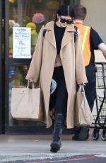 KYLIE JENNER Out Shoppong in Calabasas 2812