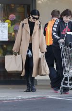 KYLIE JENNER Out Shoppong in Calabasas 2812