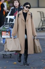 KYLIE JENNER Out Shoppong in Calabasas 2812