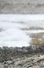 LANA DEL REY and Francesco Carrozzini Kissing on the Beach in St. Barts