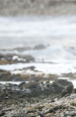 LANA DEL REY and Francesco Carrozzini Kissing on the Beach in St. Barts