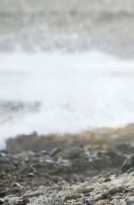 LANA DEL REY and Francesco Carrozzini Kissing on the Beach in St. Barts