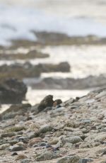 LANA DEL REY and Francesco Carrozzini Kissing on the Beach in St. Barts