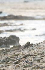 LANA DEL REY and Francesco Carrozzini Kissing on the Beach in St. Barts