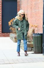 MICHELLE WILLIAMS Out and About in Brooklyn
