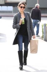 NIKKI REED Out Shopping in Los Angeles 1412