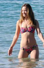 OLIVIA WILDE in Bikini on the Beach in Hawaii 1812