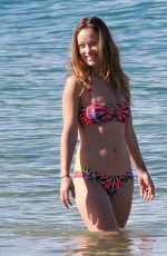 OLIVIA WILDE in Bikini on the Beach in Hawaii 1812