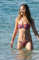 OLIVIA WILDE in Bikini on the Beach in Hawaii 1812