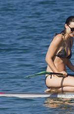 OLIVIA WILDE in Bikini on the Beach in Maui 0812