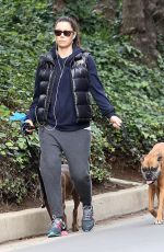 Pregnant JESSICA BIEL Walks Her Dogs Out in Hollywood