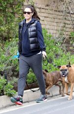 Pregnant JESSICA BIEL Walks Her Dogs Out in Hollywood