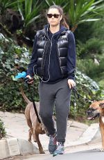 Pregnant JESSICA BIEL Walks Her Dogs Out in Hollywood