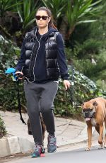 Pregnant JESSICA BIEL Walks Her Dogs Out in Hollywood